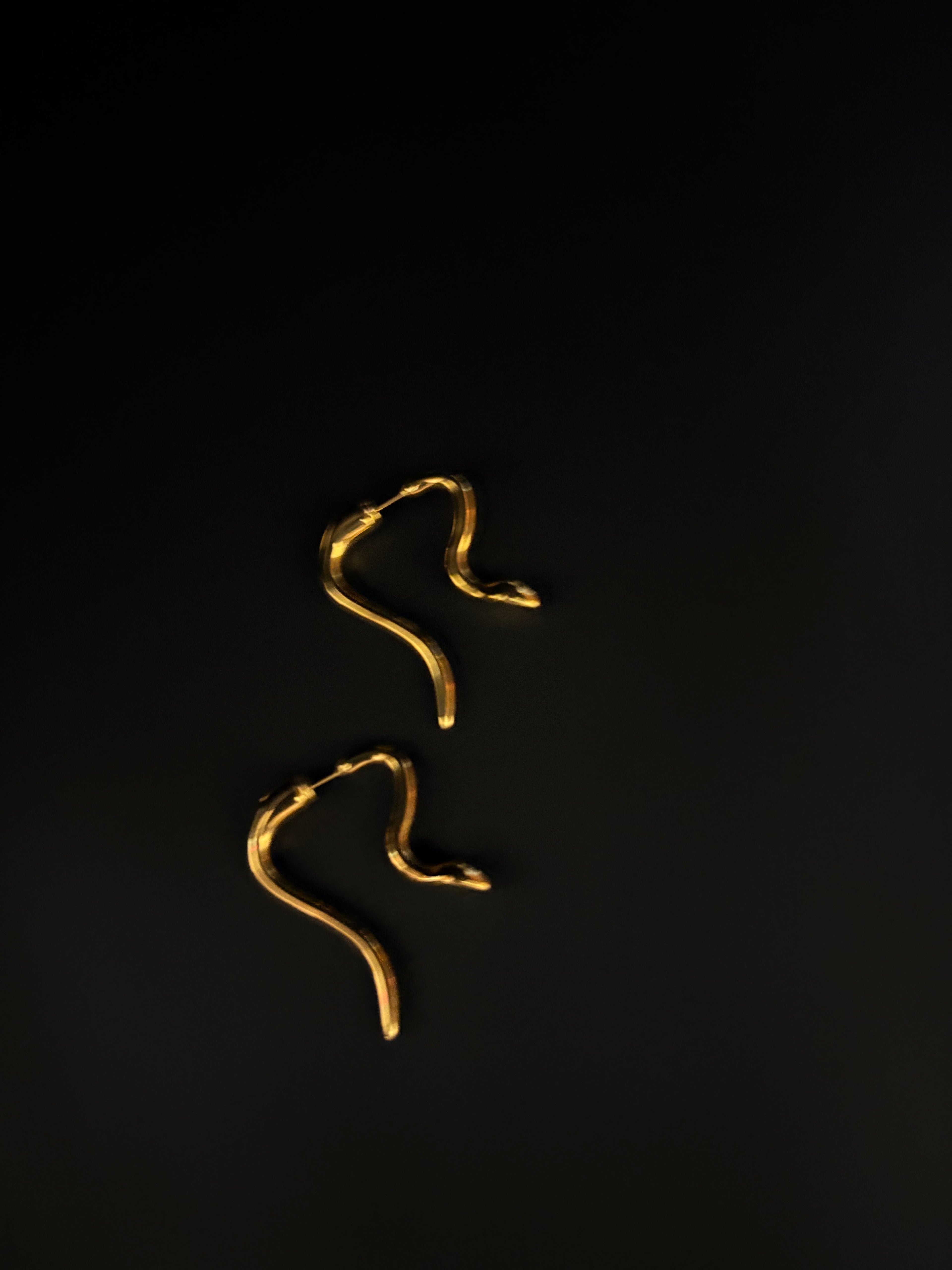 Serpent Curve Earrings