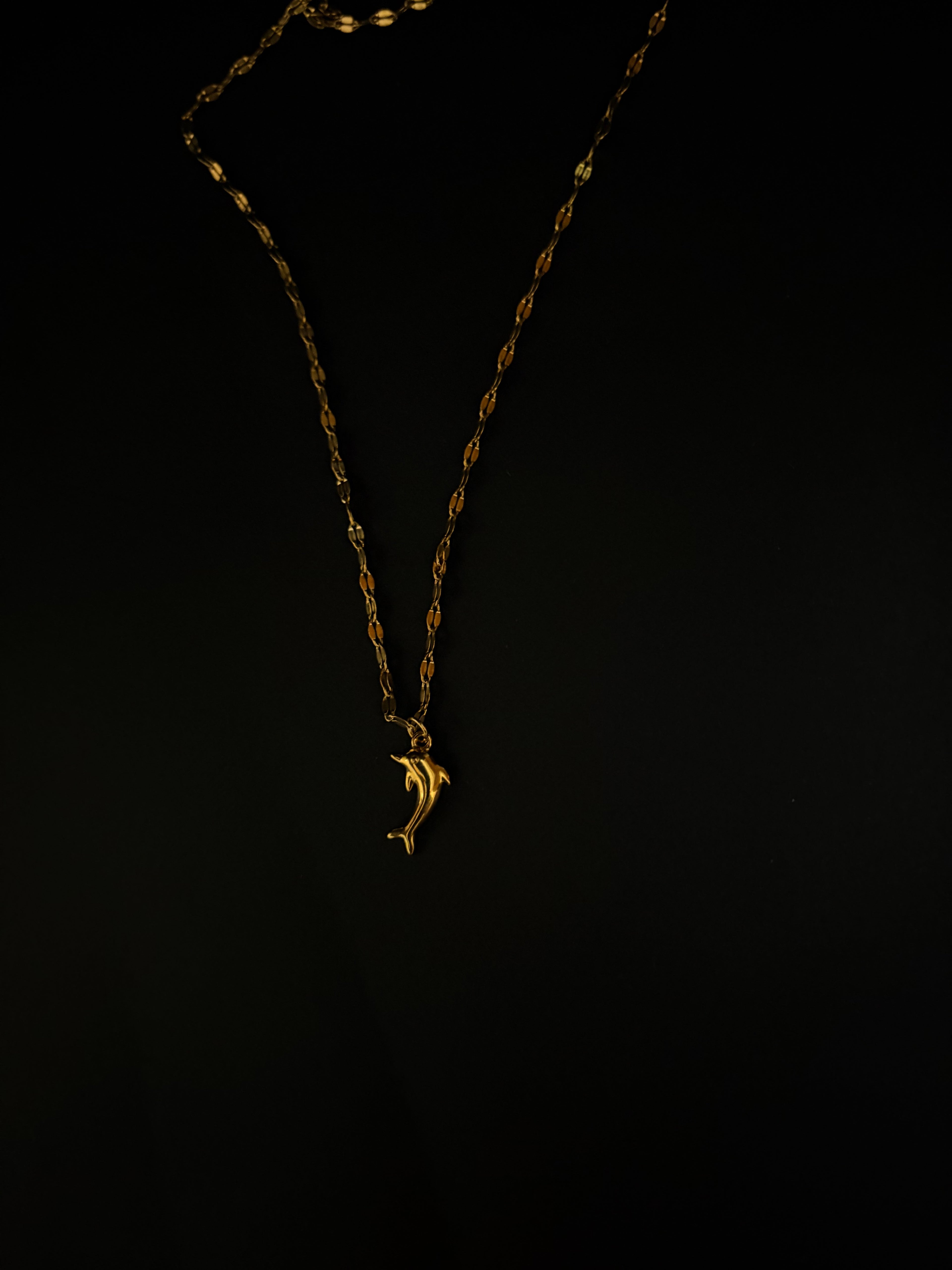 Minimalist Gold Dolphin Chain