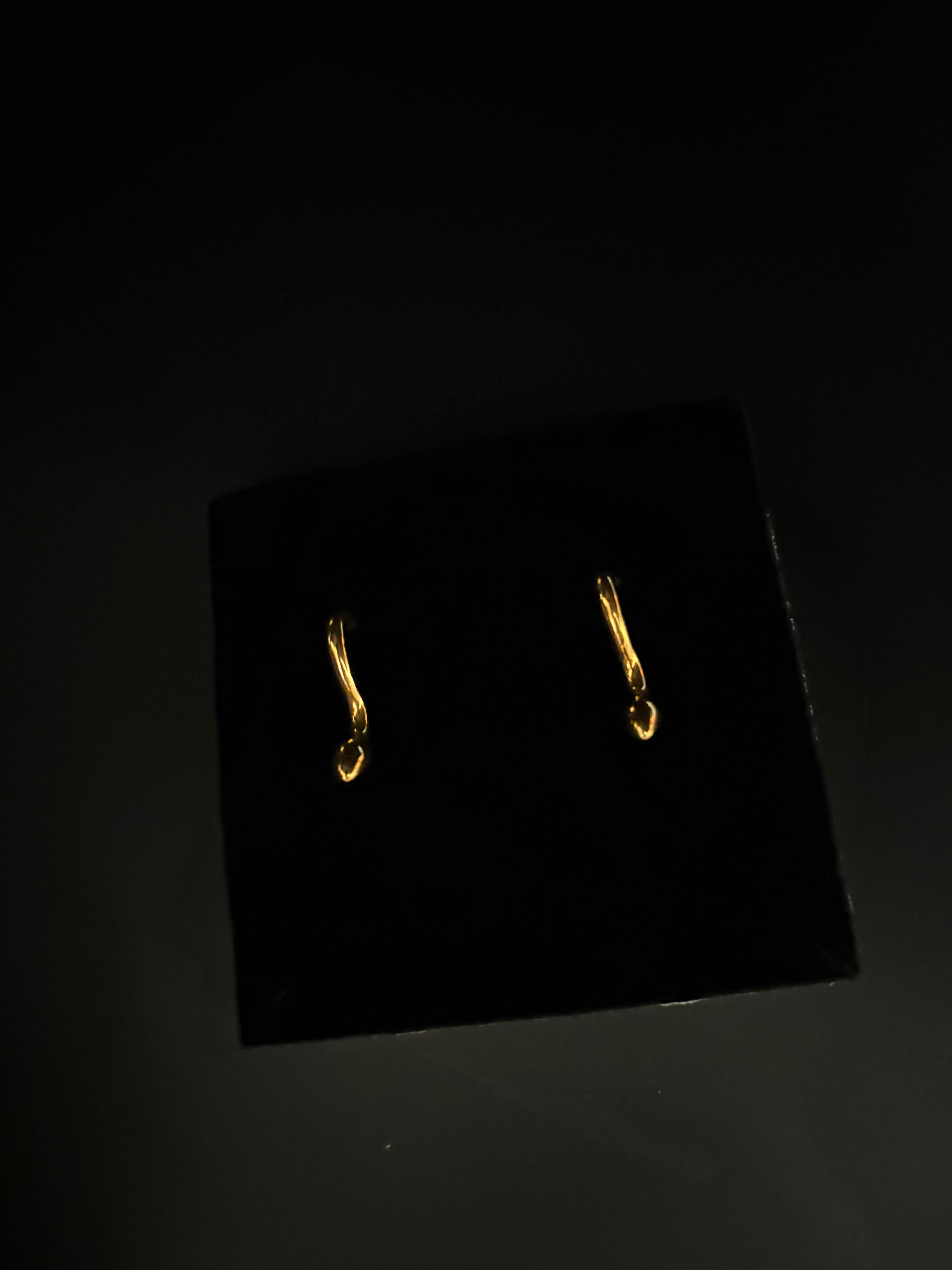 Serpent Curve Earrings