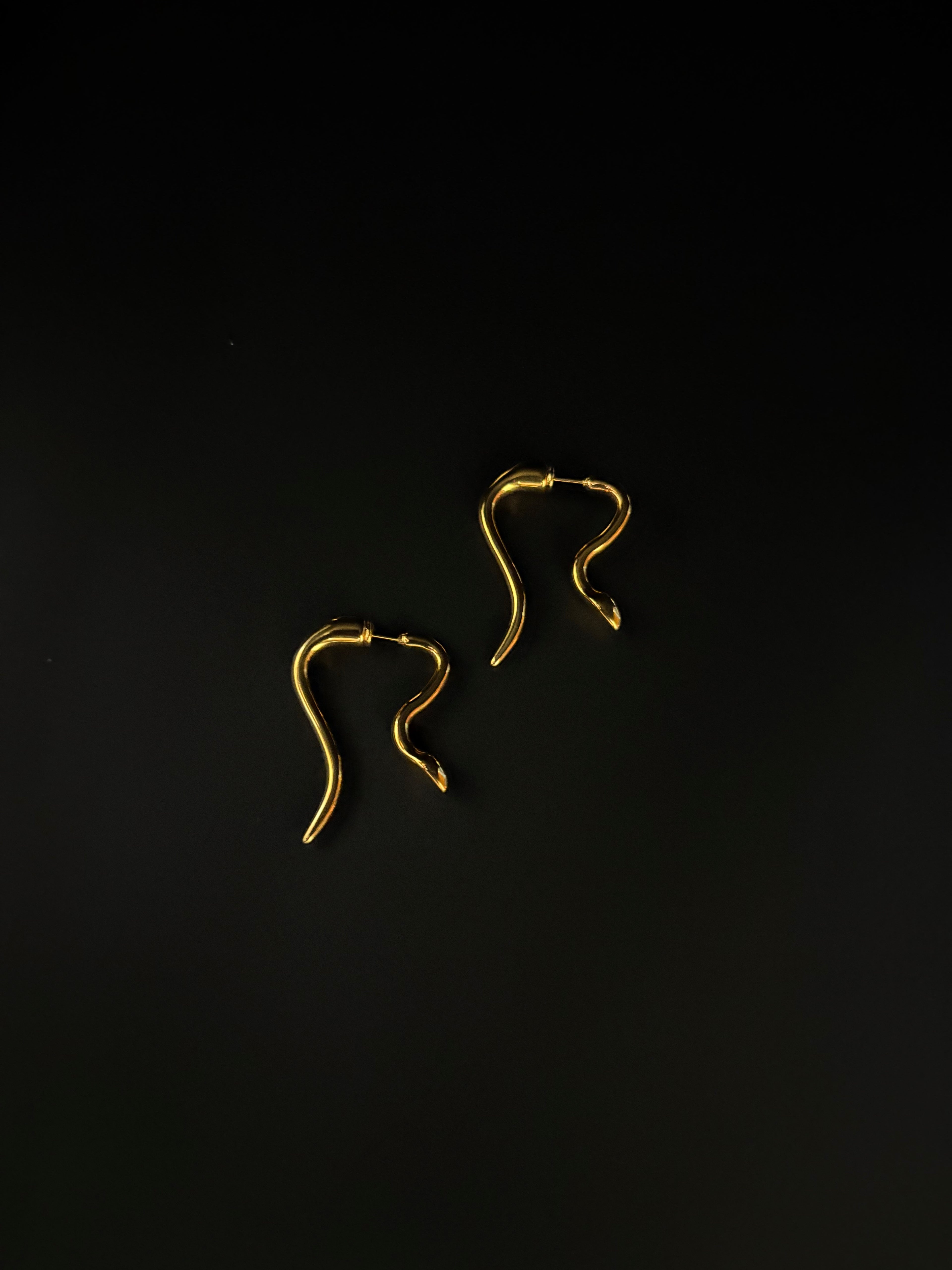 Serpent Curve Earrings