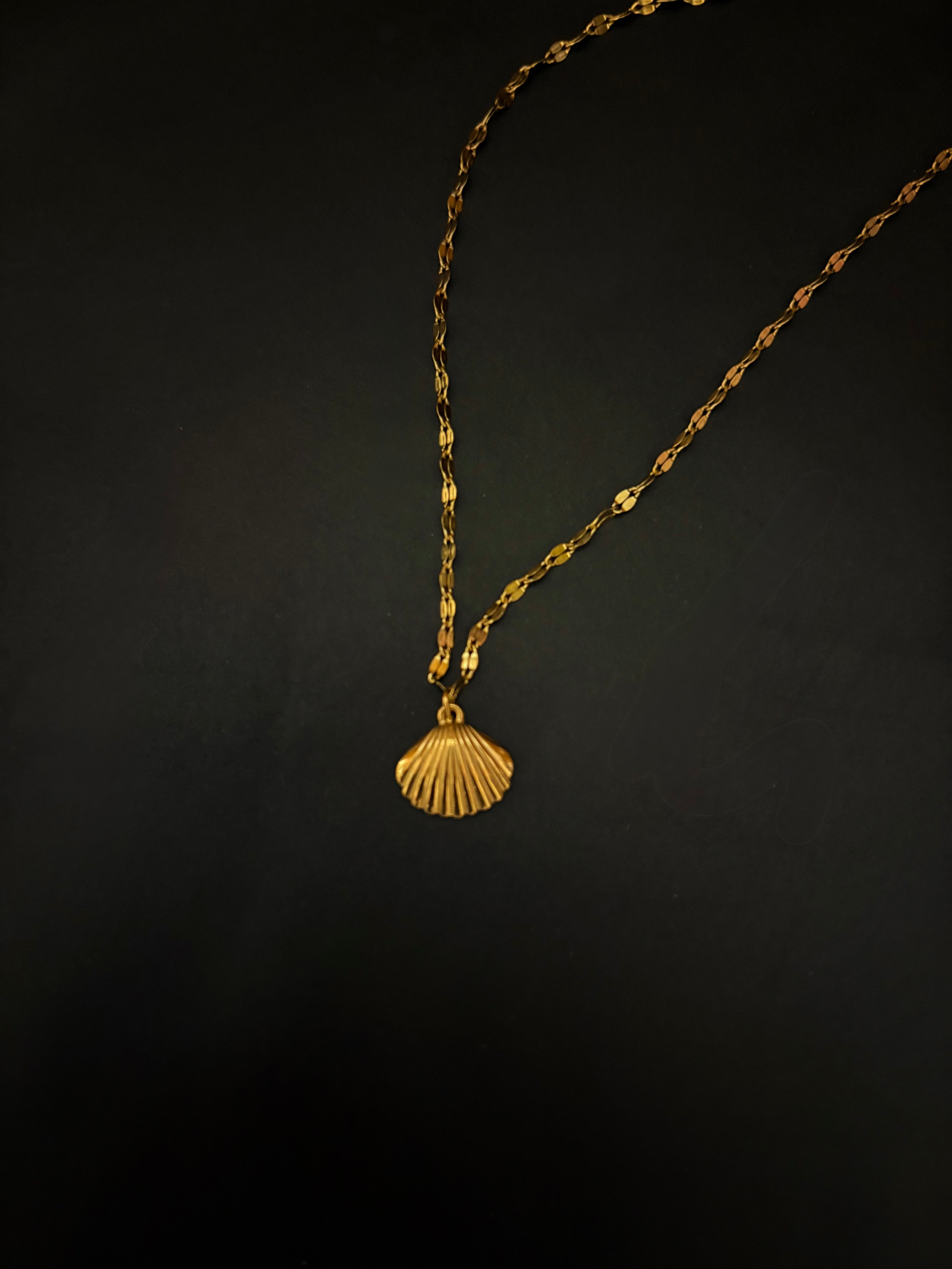 Minimal Gold Seashell Charm Necklace