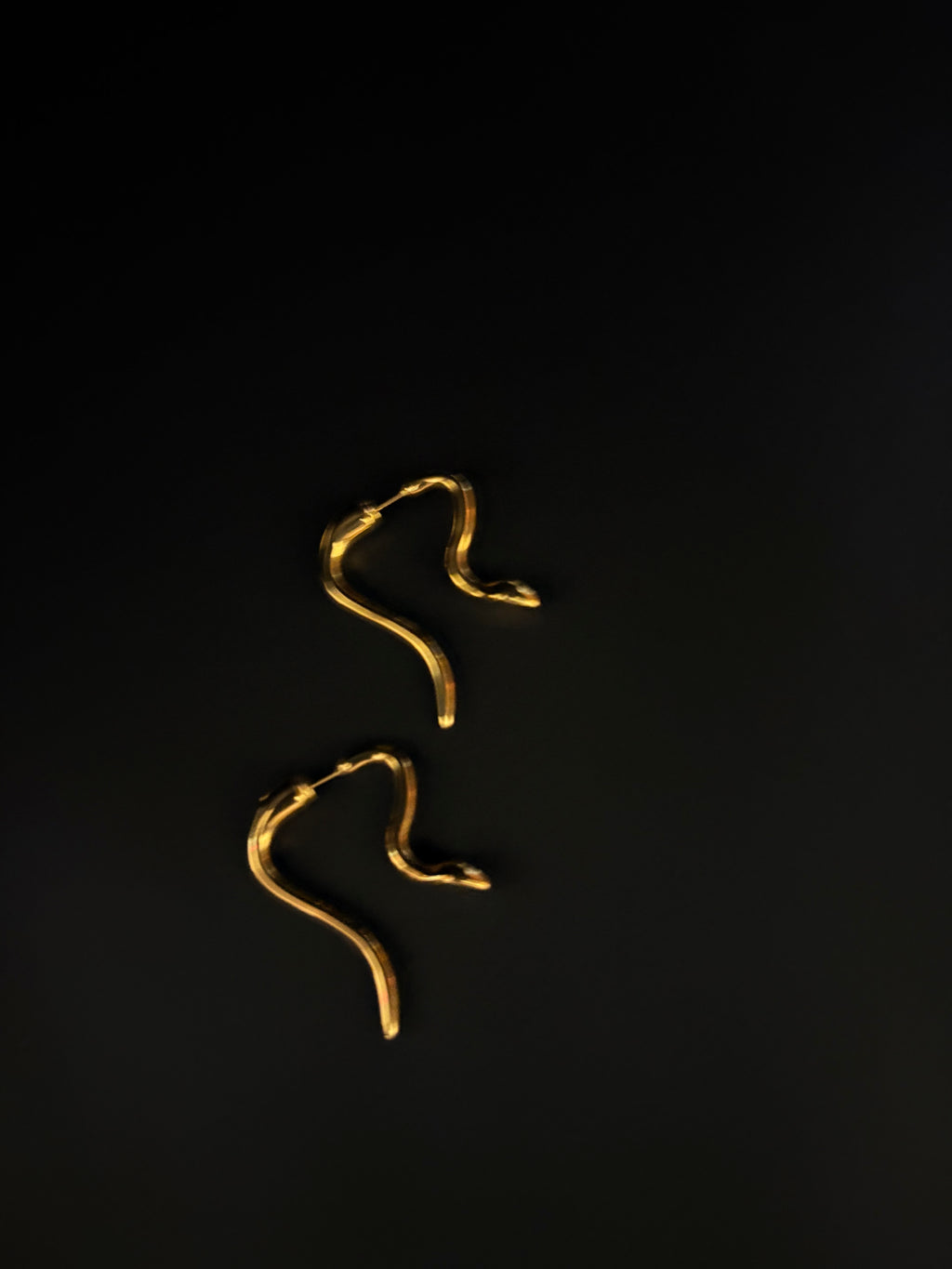 Serpent Curve Earrings