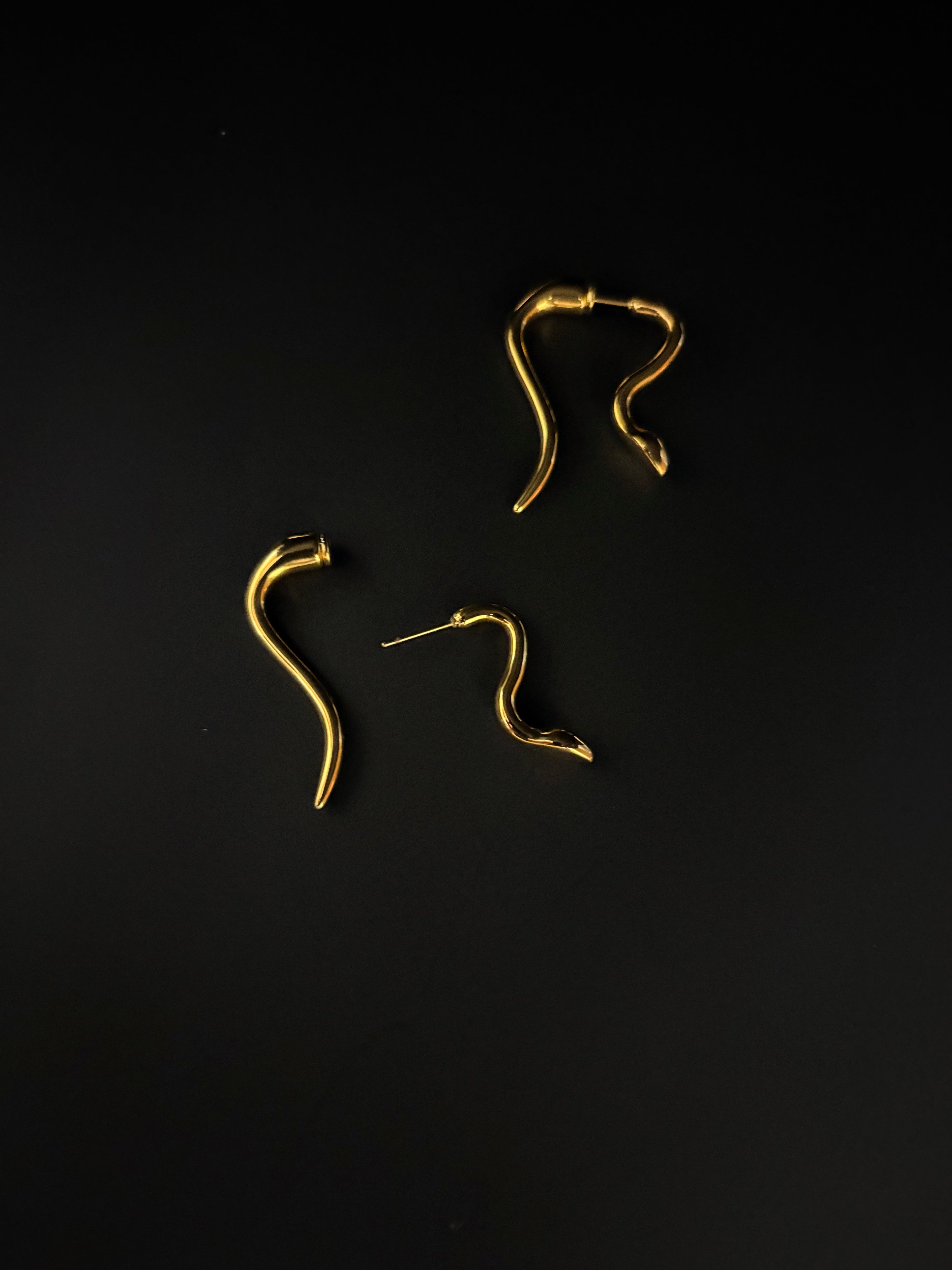 Serpent Curve Earrings