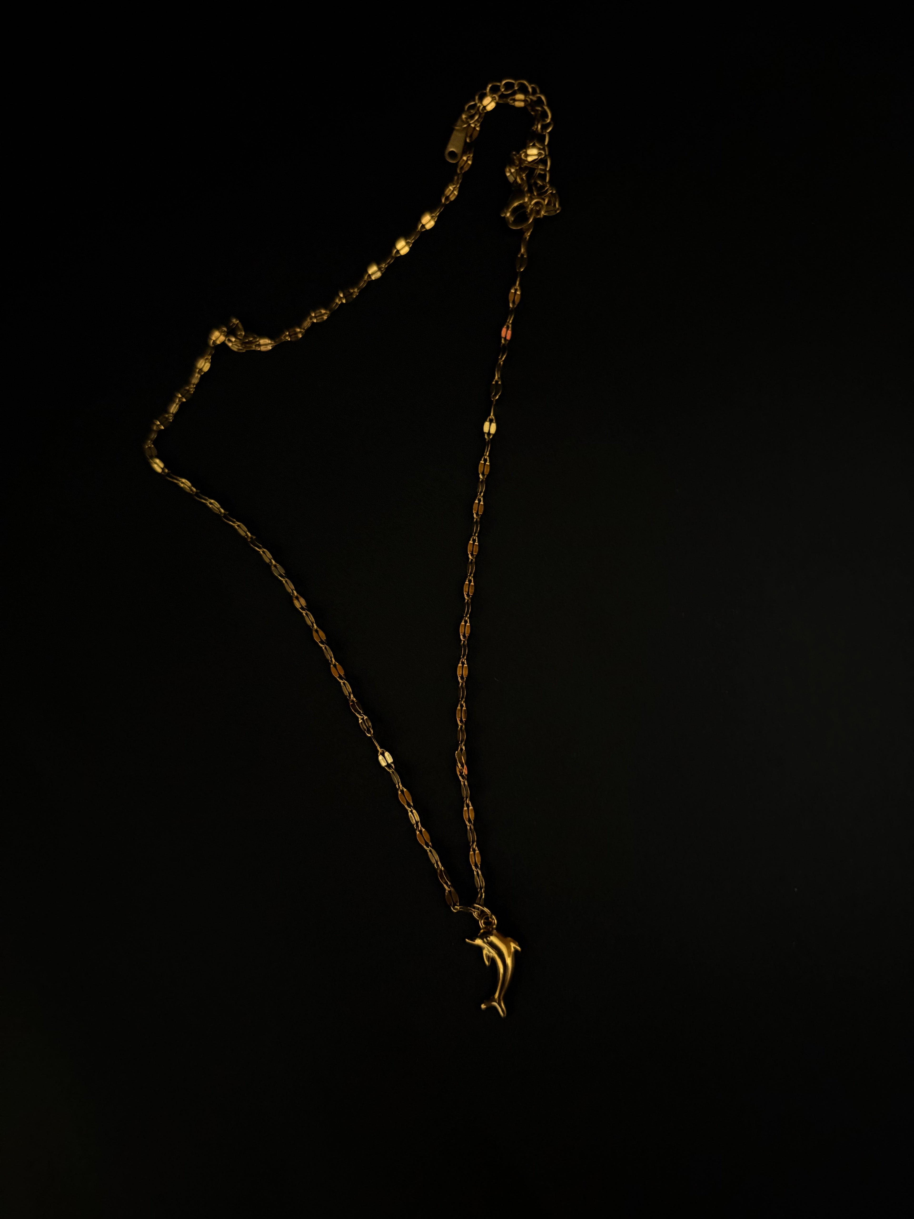 Minimalist Gold Dolphin Chain