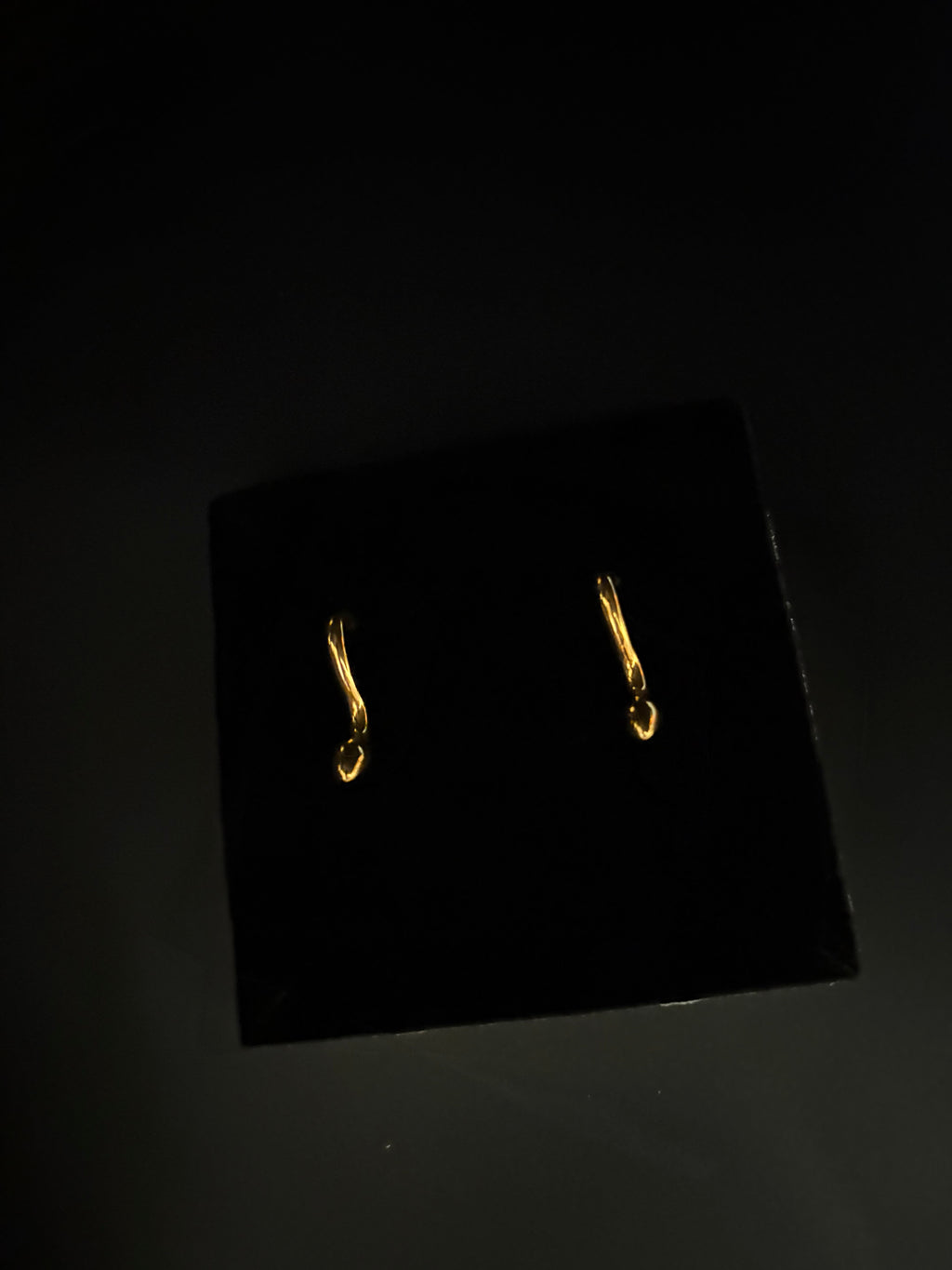 Serpent Curve Earrings