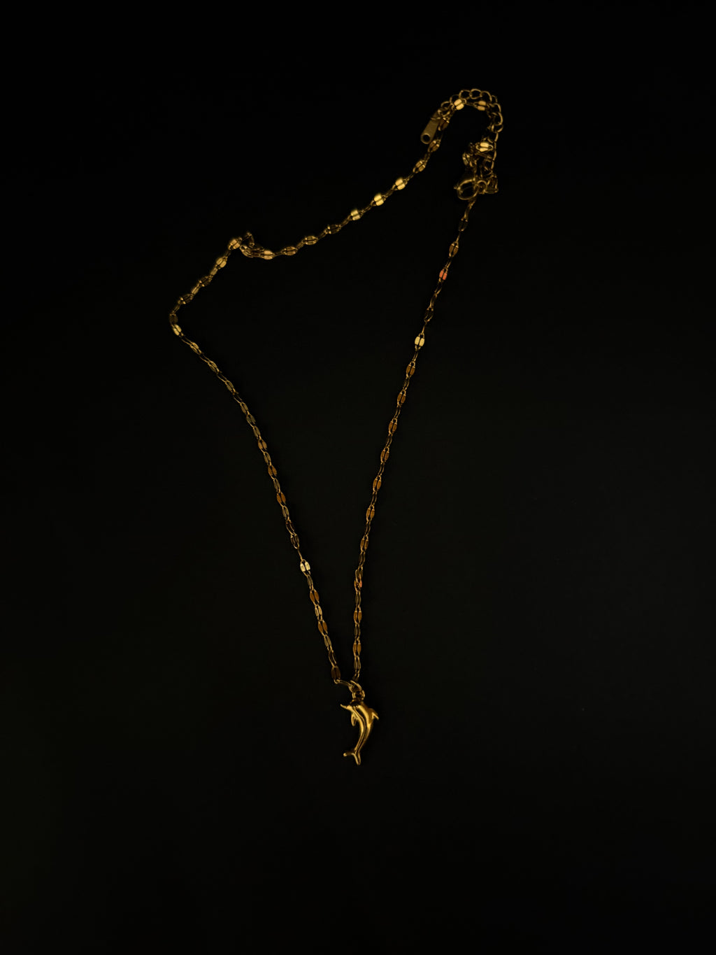Minimalist Gold Dolphin Chain