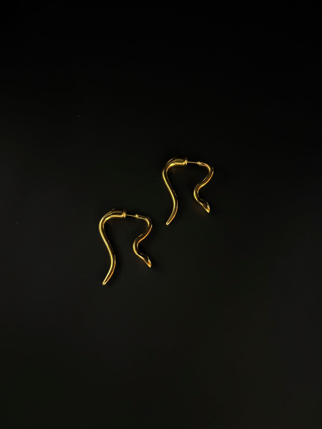Serpent Curve Earrings