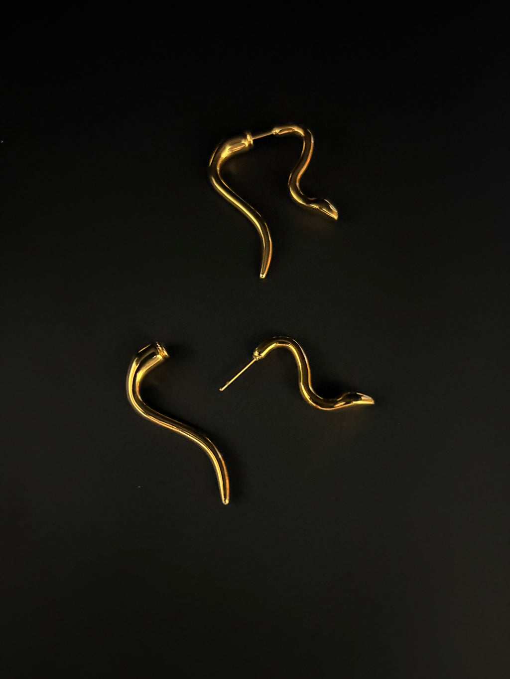 Serpent Curve Earrings