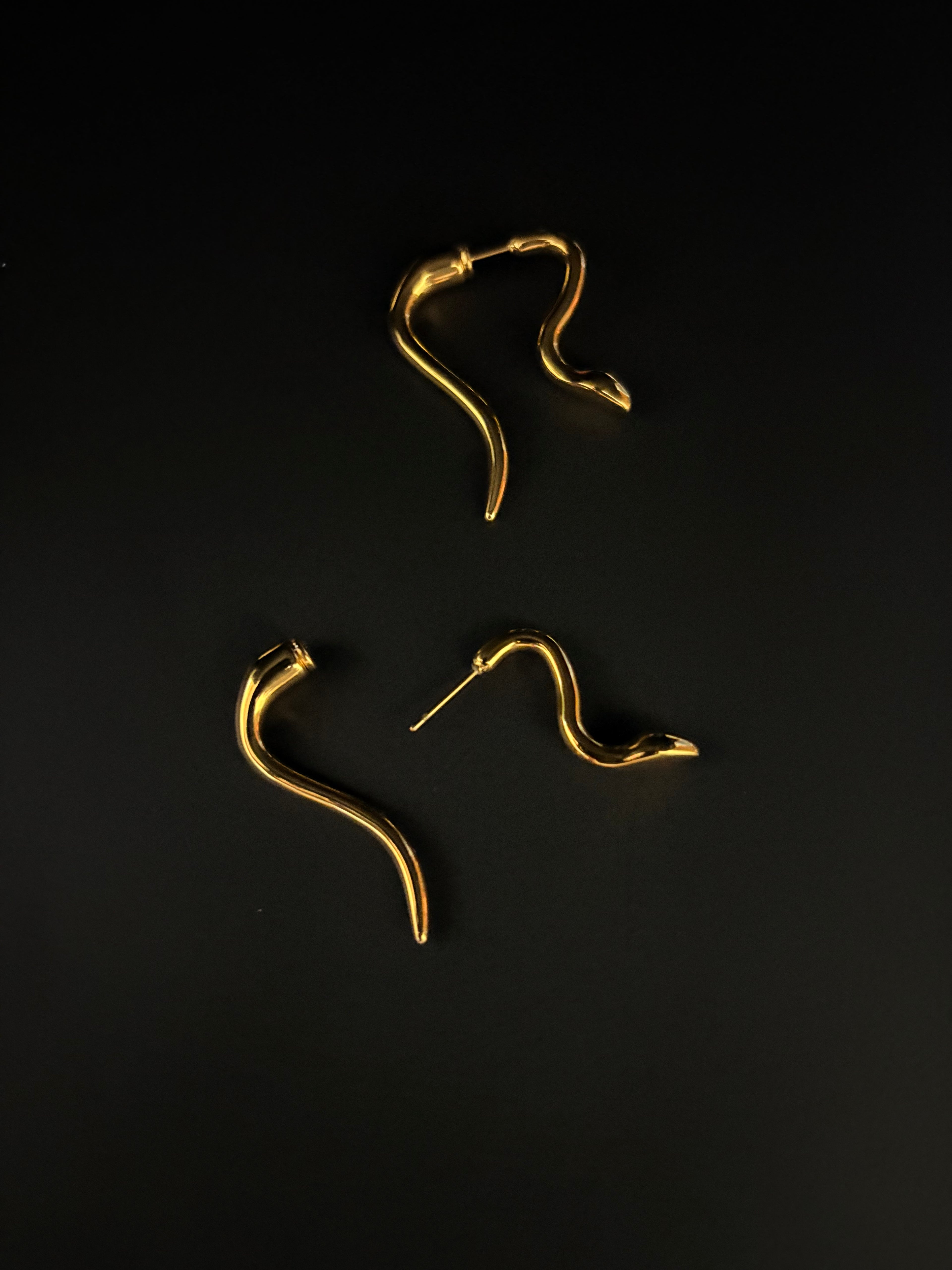 Serpent Curve Earrings