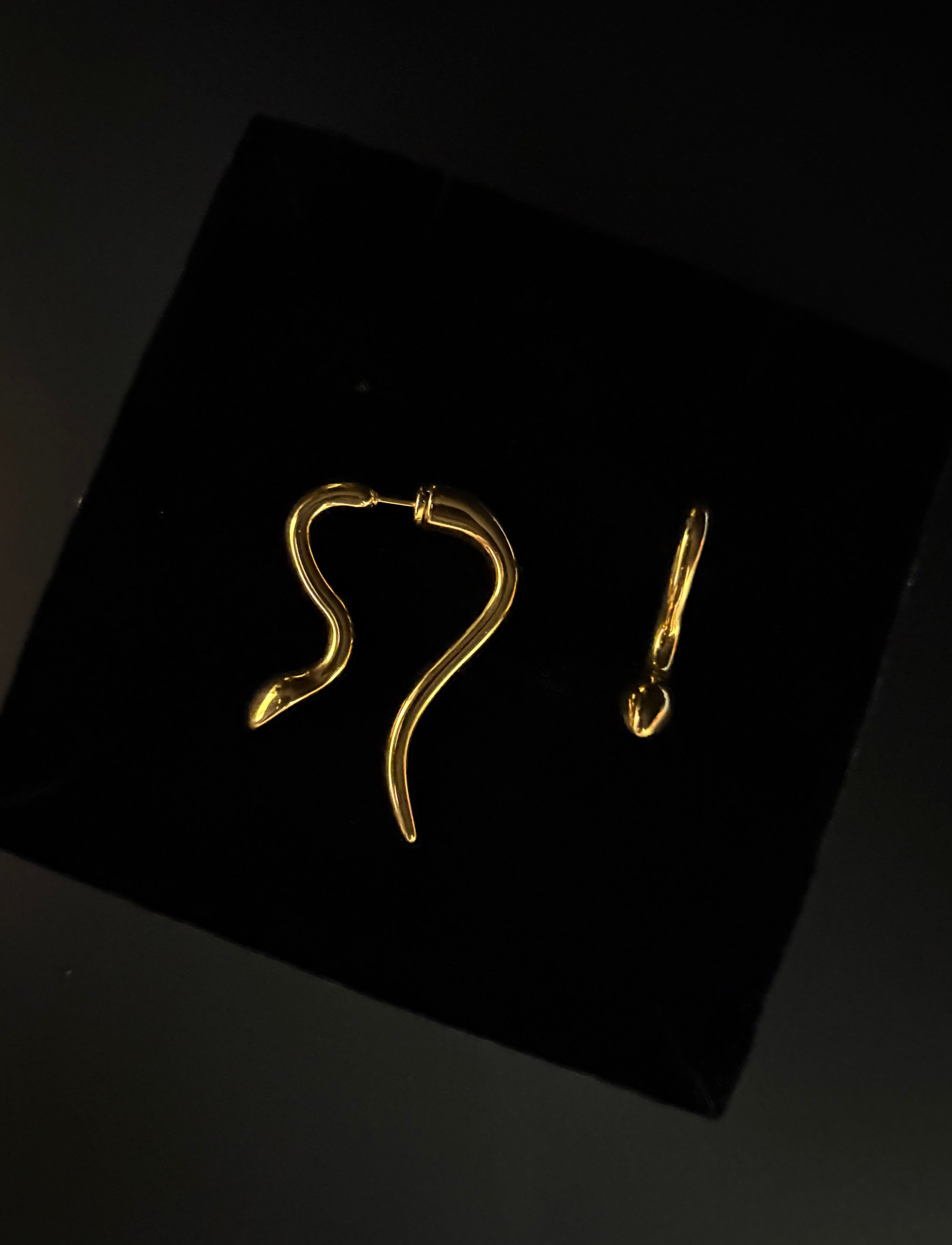 Serpent Curve Earrings